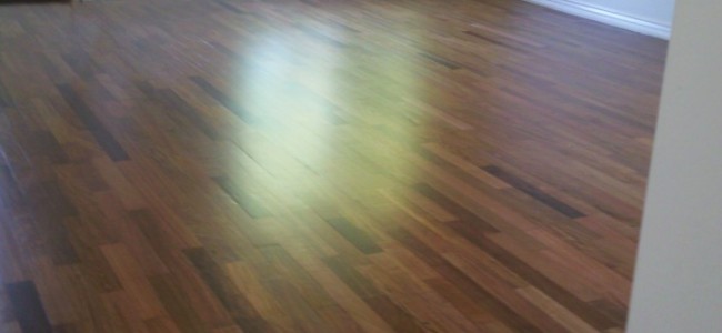 Brasilian Cherry Floor Sanding